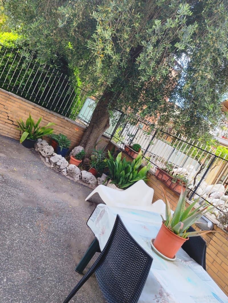 Moderno appartamento 2.5 locali (9)