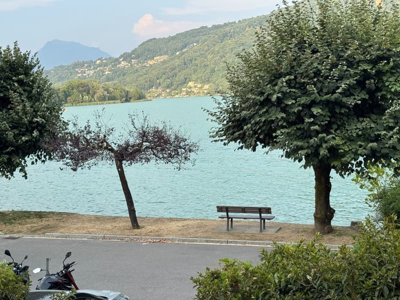 Esclusiva villa fronte lago con vista a 180° – potenziale per 4 appartamenti di lusso (7)