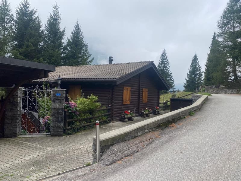 Chalet immerso nella natura a Mesocco (4)