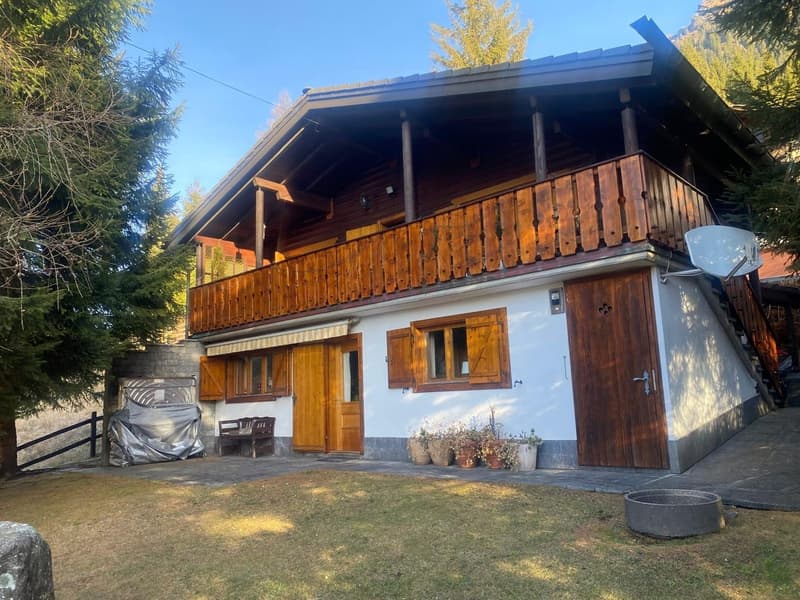 Chalet immerso nella natura a Mesocco (3)