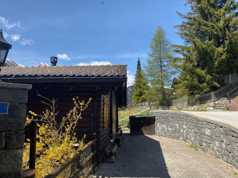 Chalet immerso nella natura a Mesocco (5)
