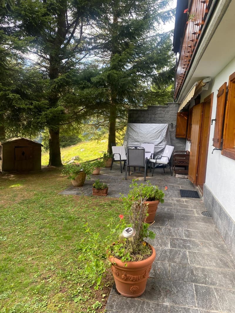 Chalet immerso nella natura a Mesocco (9)