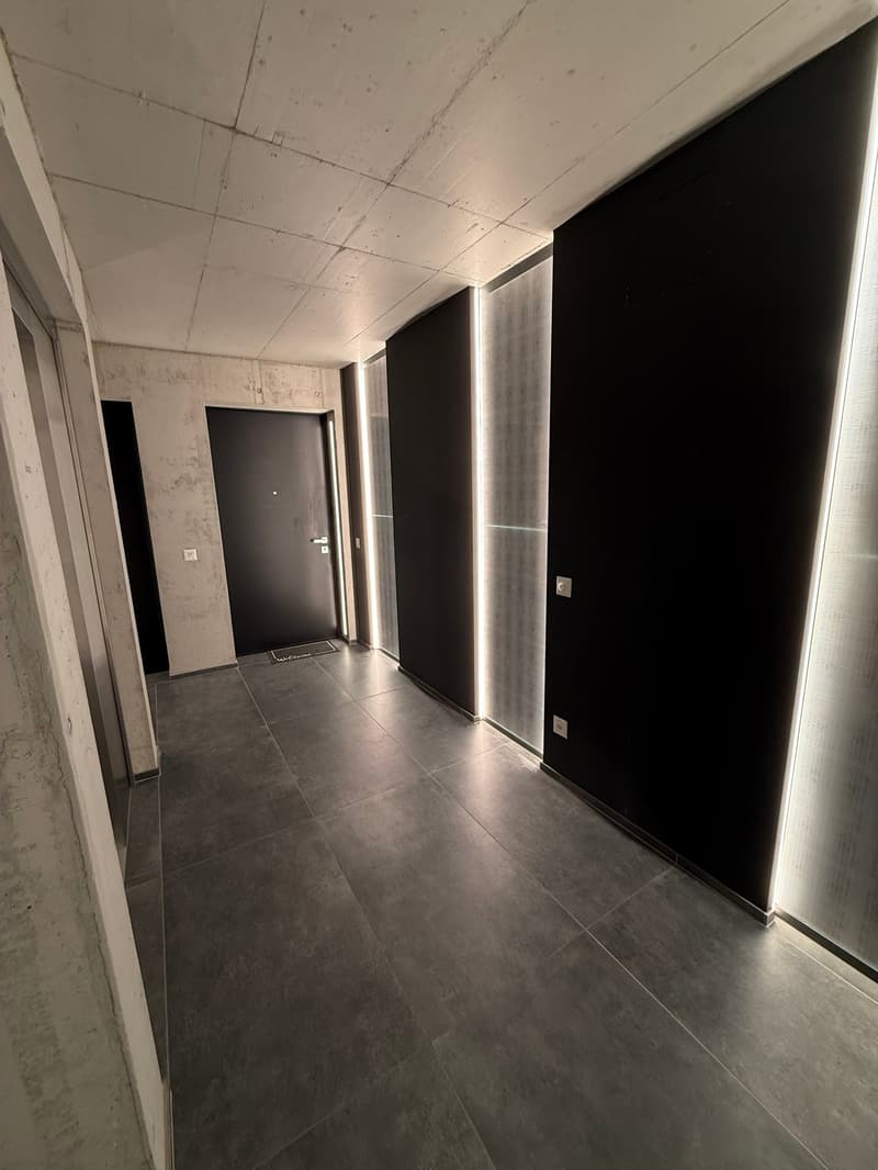 Luminoso appartamento di 2.5 locali a Massagno, con vista e balcone (8)