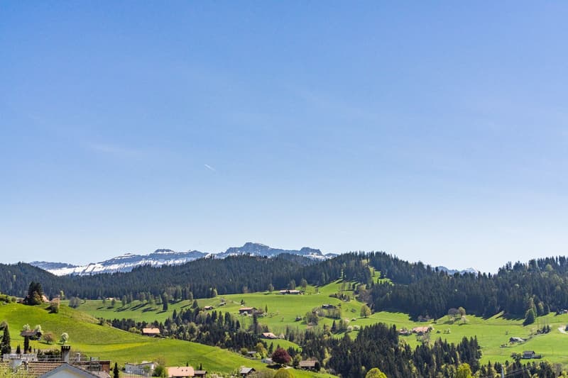 Zwischen Stadt und Land am Sonnenhang (2)