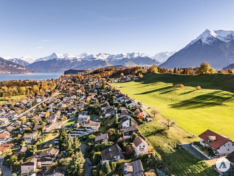 Ein Logenplatz über dem Thunersee (5)
