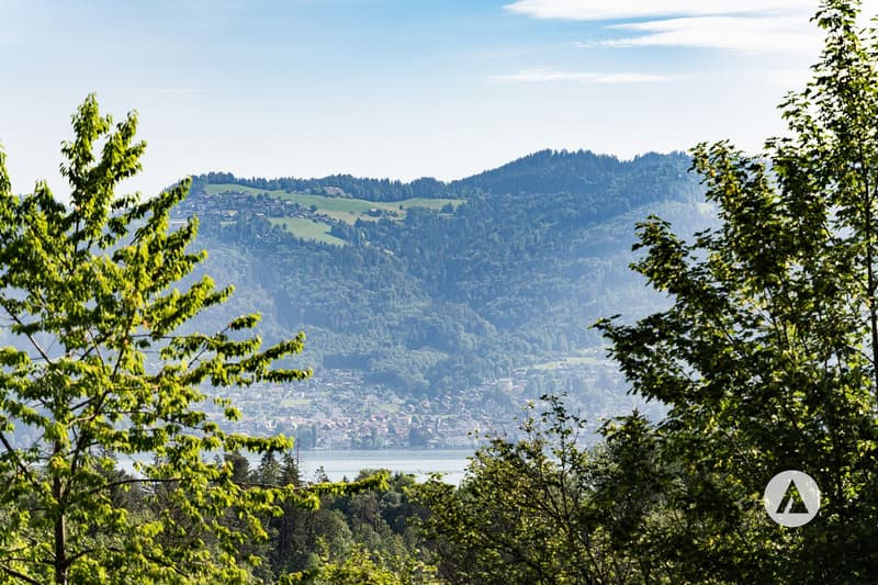 Bauland zwischen See und Wälder (7)