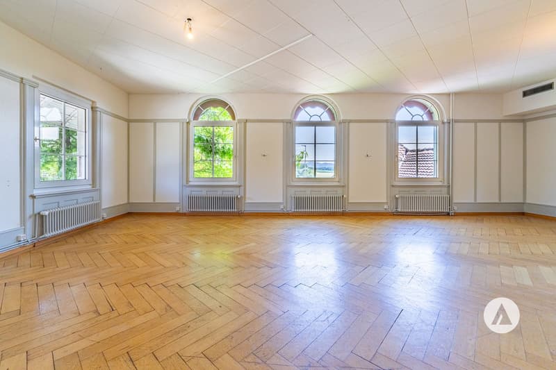 Ein aussergewöhnliches Traditionshaus (7)