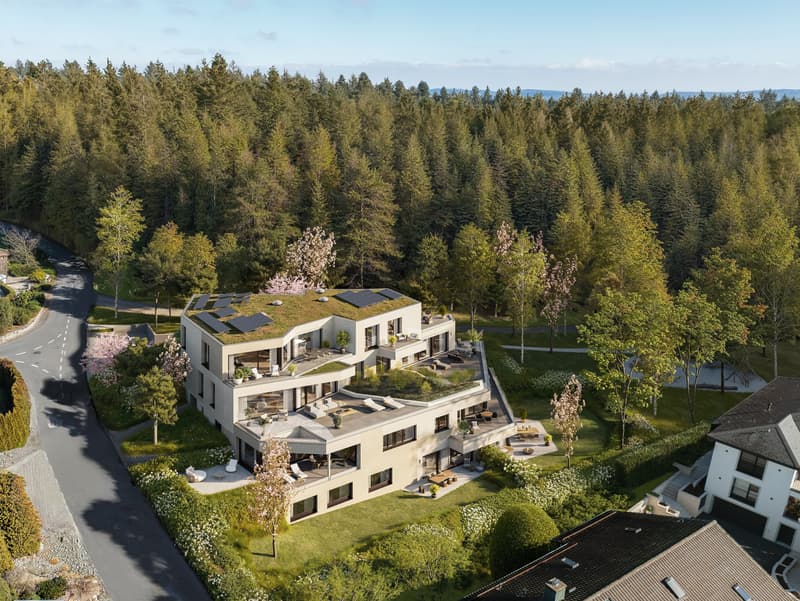 Walde Immobilien AG