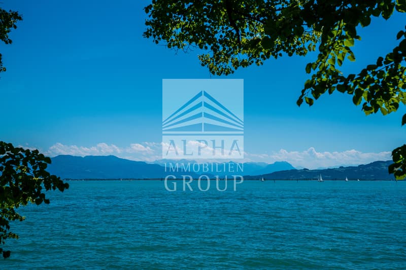 "JUWEL AM BODENSEE" Moderne Villa mit Privatsphäre direkt am Seeufer (1)