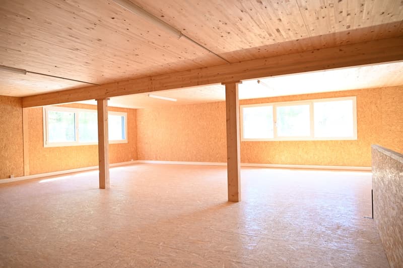 Espace industriel à louer à Vallorbe – 200 m² - entièrement équipé (1)