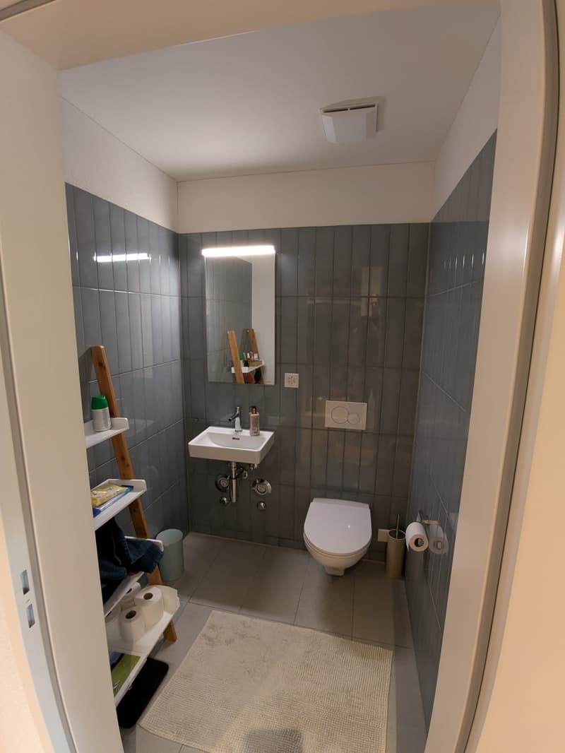 Moderne 4.5-Zimmer-Wohnung mit Balkon in Bassersdorf inkl. 2 Parkplätze (4)