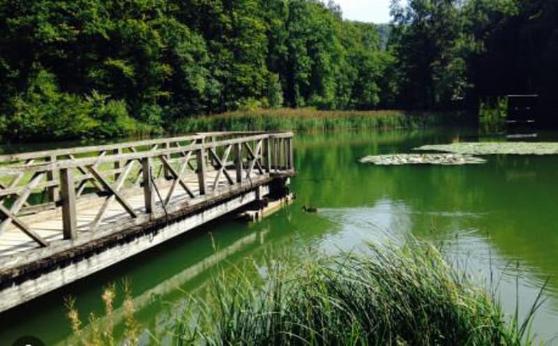 Die perfekte Gartenwohnung im besten Dorf der Schweiz (11)