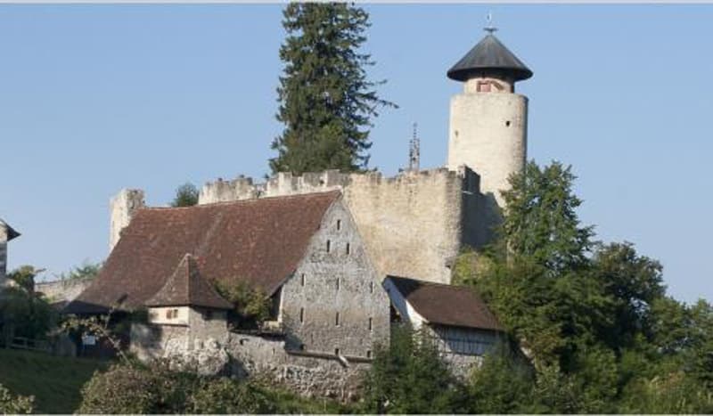 Die perfekte Gartenwohnung im besten Dorf der Schweiz (10)