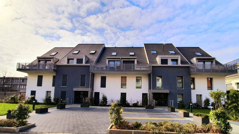 Appartement de 4.5 pièces au rez-de-chaussée (1)