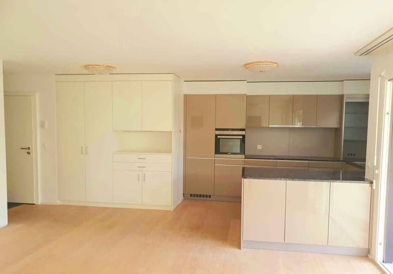 Appartement de 4.5 pièces au rez-de-chaussée (2)