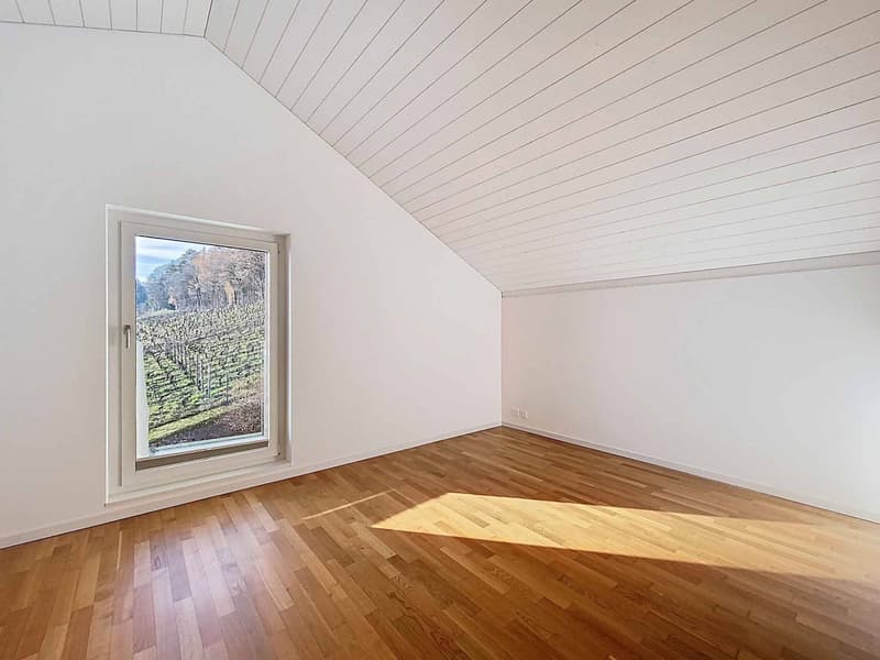 Villa contemporaine avec vue panoramique sur le lac (8)