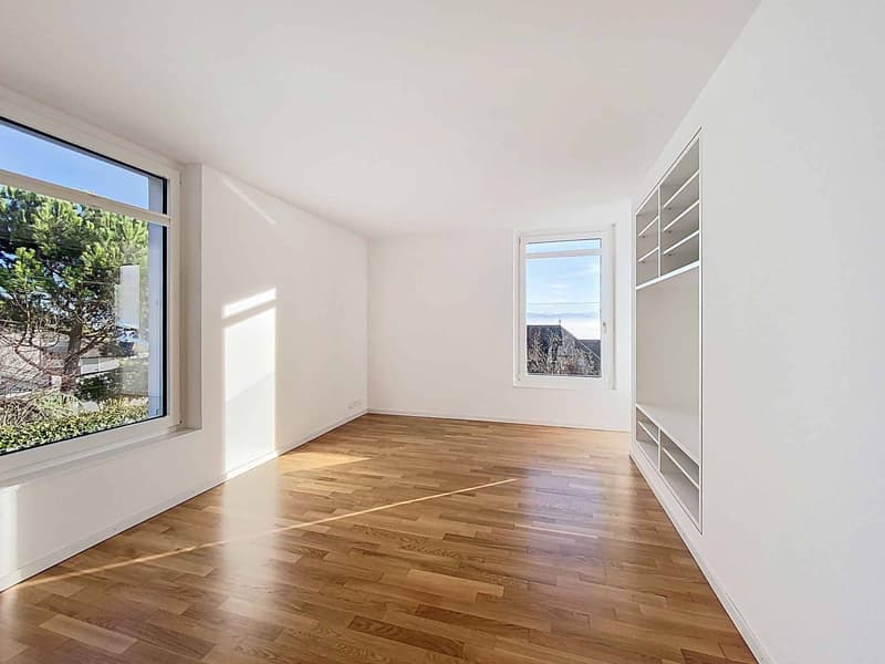 Villa contemporaine avec vue panoramique sur le lac (4)