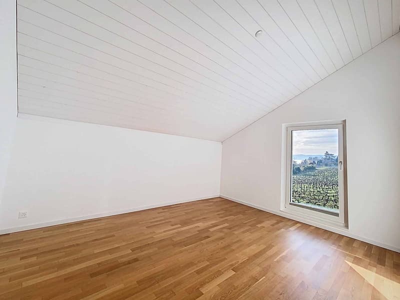 Villa contemporaine avec vue panoramique sur le lac (7)
