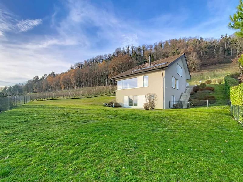 Villa contemporaine avec vue panoramique sur le lac (12)