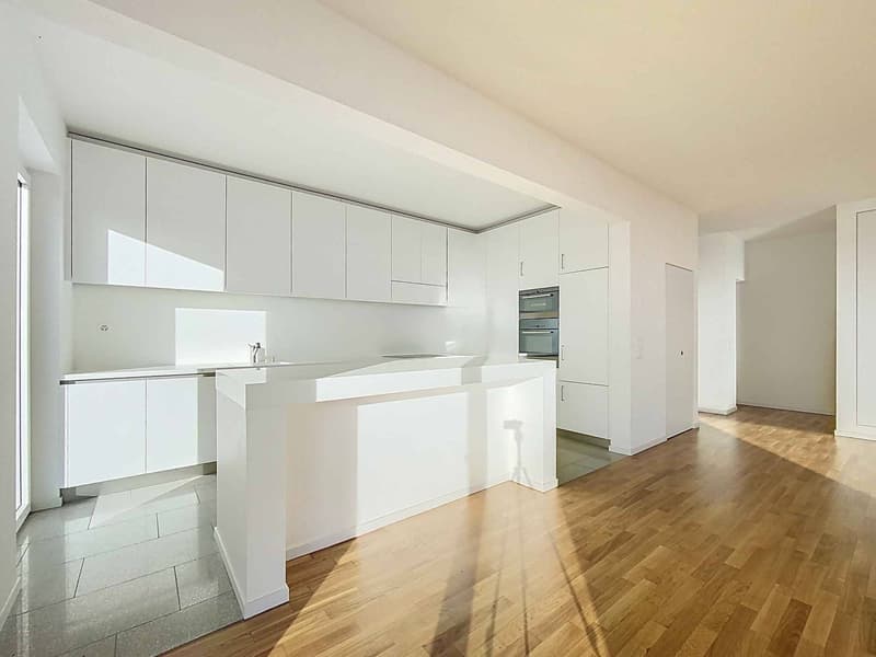 Villa contemporaine avec vue panoramique sur le lac (3)