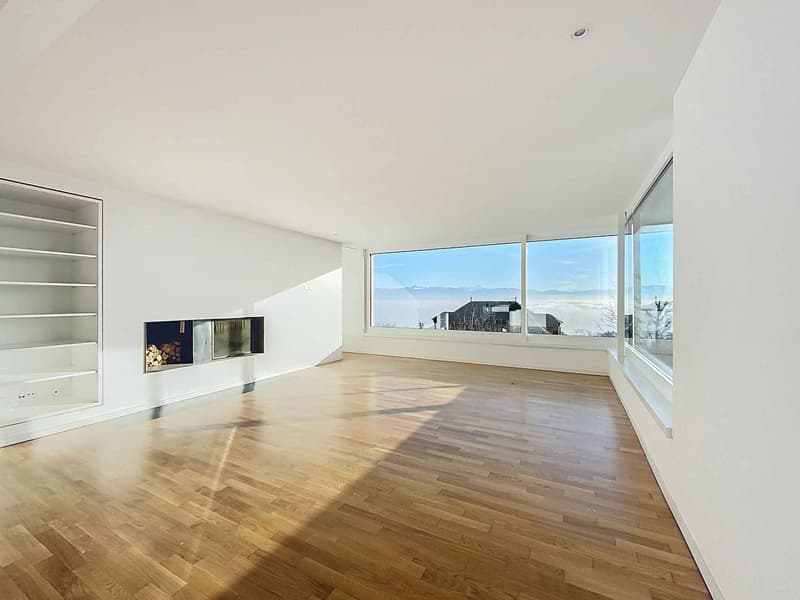 Villa contemporaine avec vue panoramique sur le lac (2)