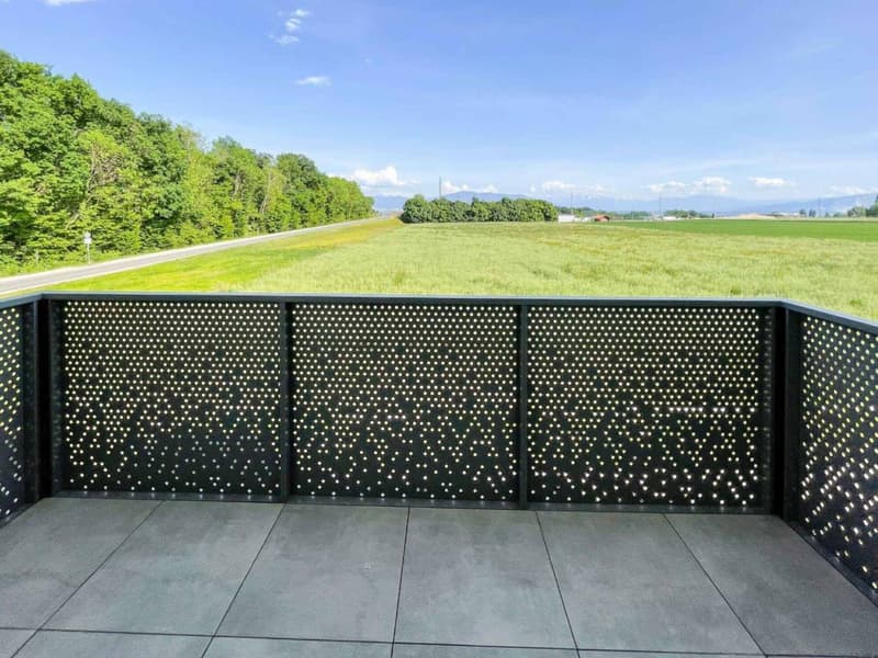 Villa mitoyenne de 6.5 pièces avec jardin 368m2 (6)