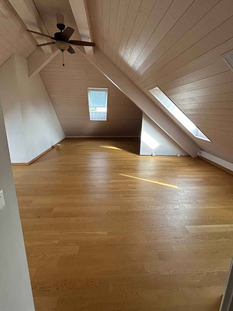 Magnifique appartement duplex de 5.5 pièces en attique (3)