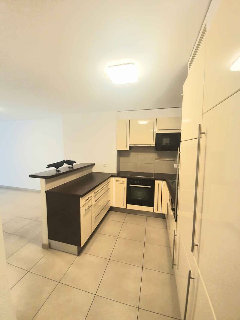 Magnifique appartement de 4.5 pièces au rez-de-chaussée (3)