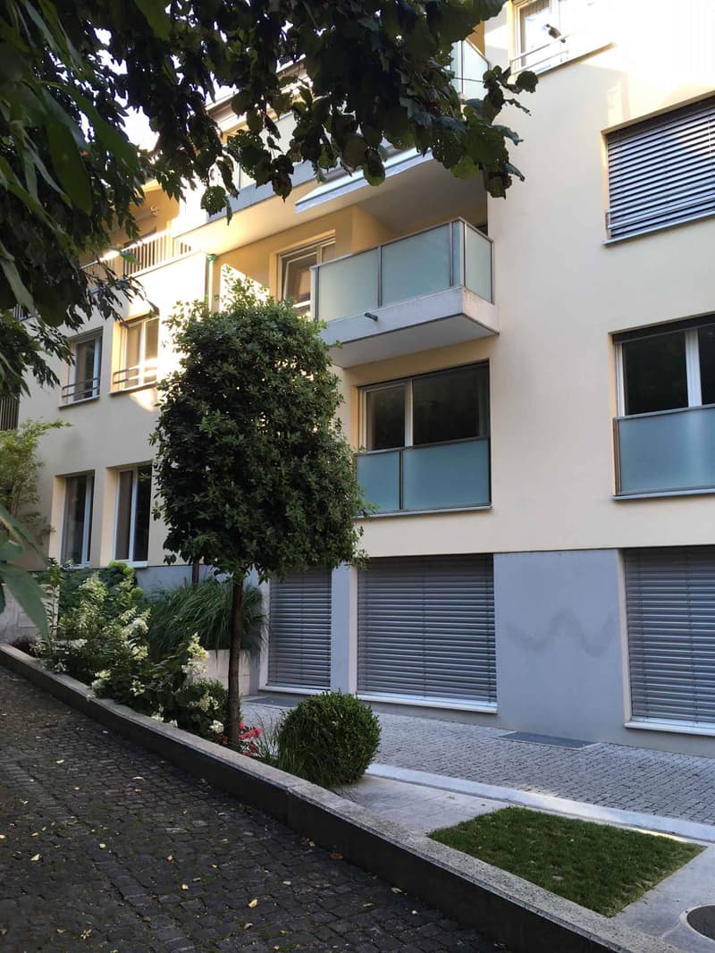 Magnifique appartement de 4.5 pièces au rez-de-chaussée (9)