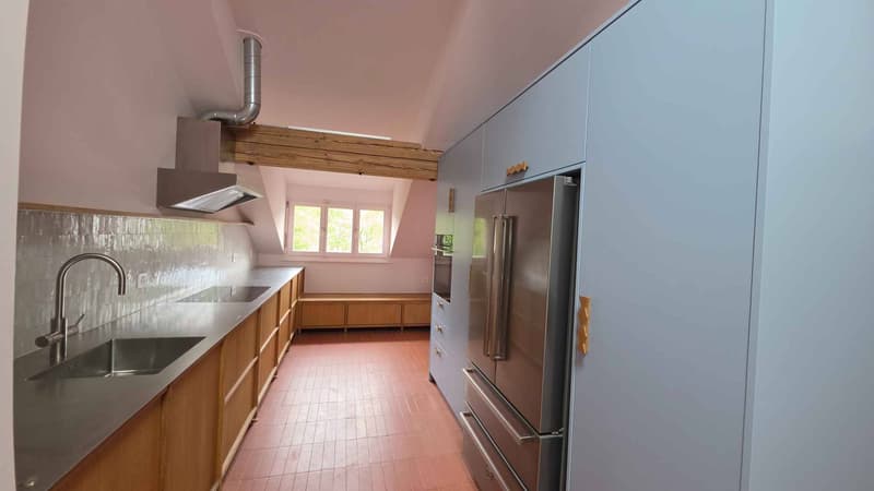 ÉLÉGANT ATTIQUE DE STANDING ENTIÈREMENT RÉNOVÉ (5)
