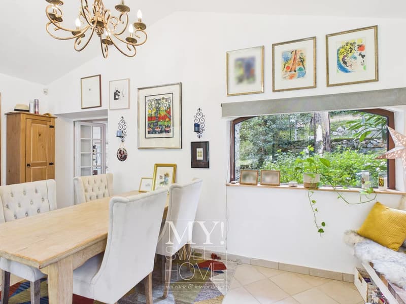 Family house with pool and walking distance to the village - Mougins (13)