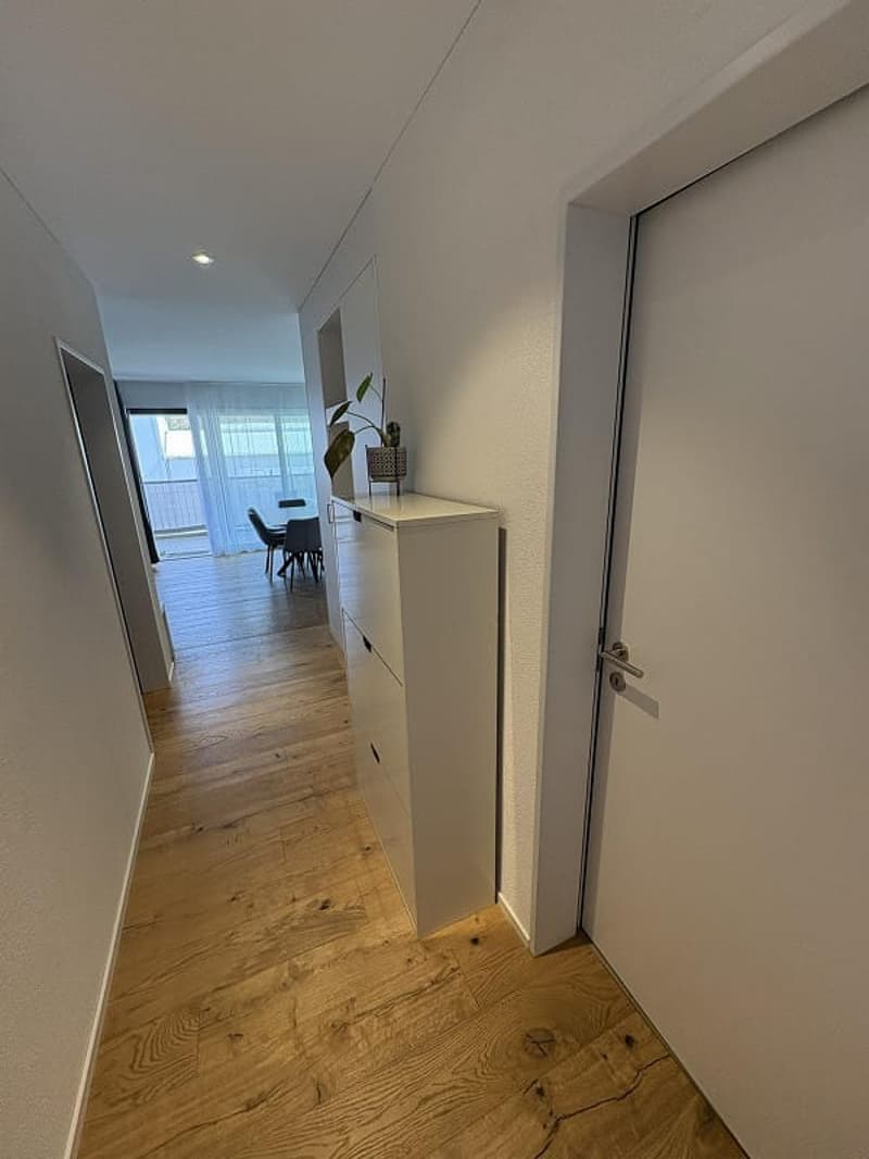 Neubau 2.5-Zi-Gartenwohnung mit Terrasse in Schaffhausen mieten (10)