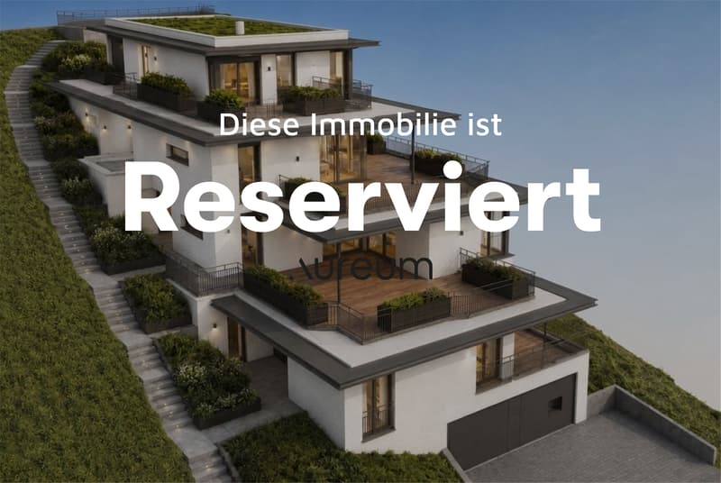 Exklusive 4.5-Zimmer-Terrassenwohnung mit Panorama in Beringen (1)