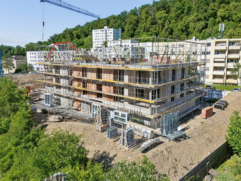 Hochwertige 4.5-Zimmer mit Weitblick in Schaffhausen kaufen (1)