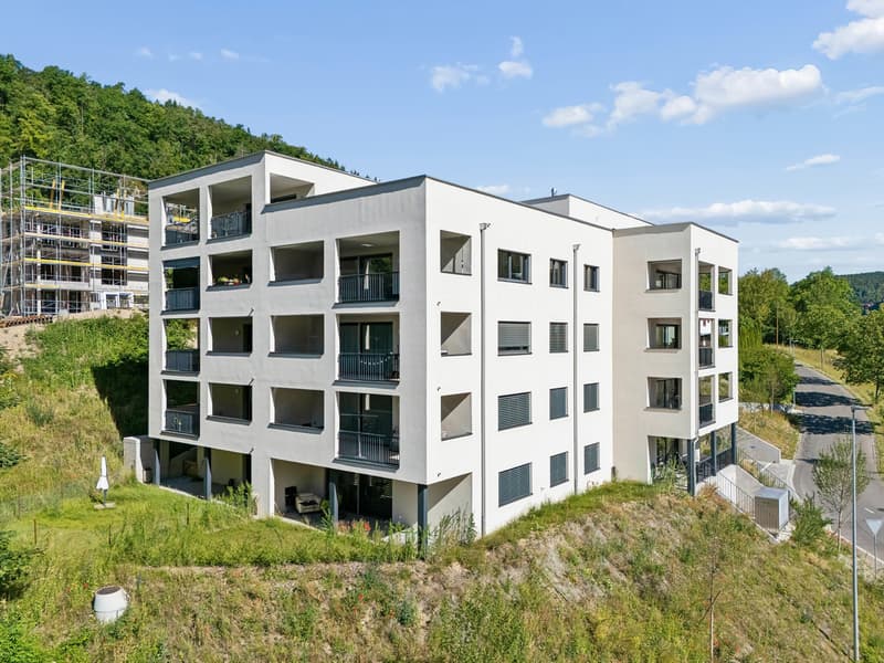 Moderne 2.5-Zimmer-Wohnung mit Terrasse in Schaffhausen kaufen (5)