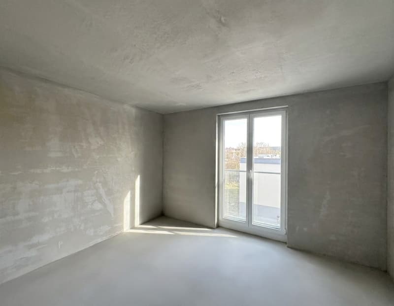 4.5-Zimmer-Neubau mit Weitblick und Balkon in Schaffhausen kaufen (5)