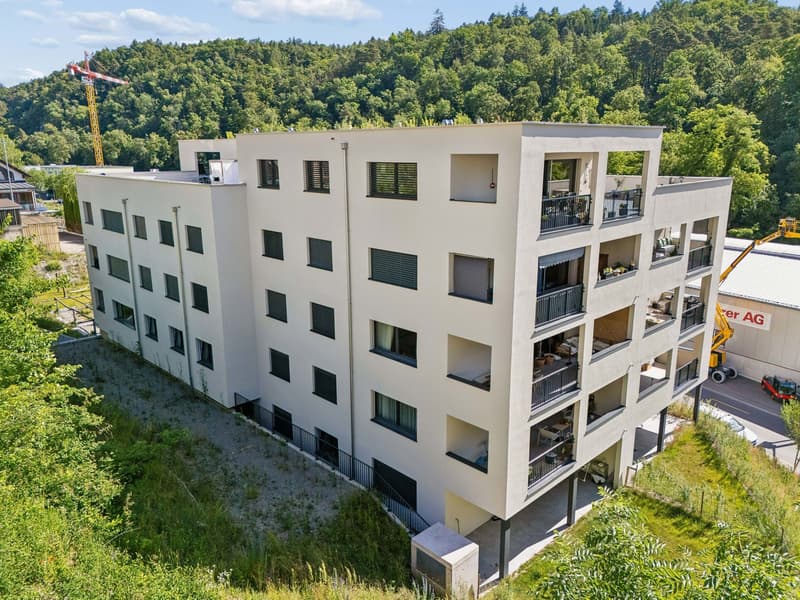 Moderne 2.5-Zimmer-Wohnung mit Terrasse in Schaffhausen kaufen (7)