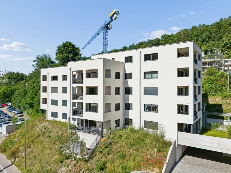 Moderne 2.5-Zimmer-Wohnung mit Terrasse in Schaffhausen kaufen (5)
