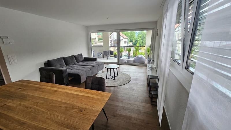 Moderne 2.5-Zimmer-Wohnung mit Terrasse in Schaffhausen kaufen (9)