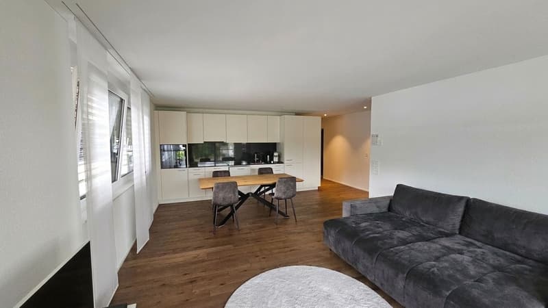 Vermietete 2.5-Zi-Neubauwohnung mit 20 m² Balkon - Tiefgaragenplatz inklusive (9)