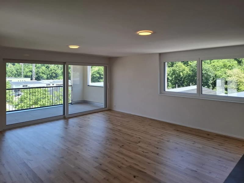 Attikawohnung mit rund 160 m² Dachterrasse, Bezug per 1. März 2027 (4)