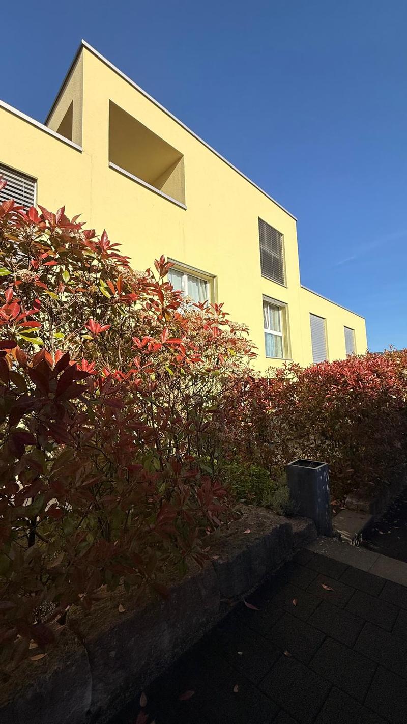 Maison mitoyenne moderne de 6.5 pièces à Port (2)