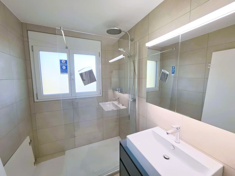 Frisch renovierte 4.5-Zimmer-Wohnung im steuergünstigen Zuzwil - Bankengeprüft (10)