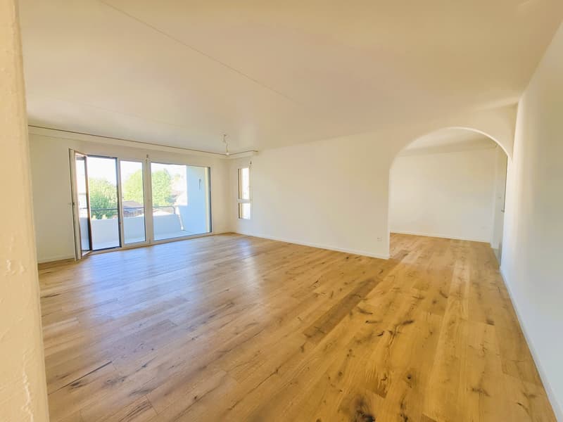Frisch renovierte 4.5-Zimmer-Wohnung im steuergünstigen Zuzwil - Bankengeprüft (1)