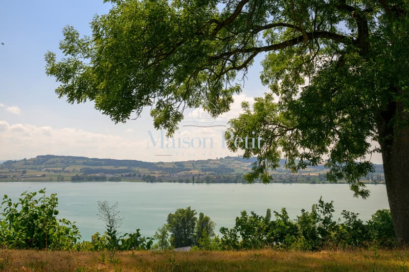 1471 m2 grosses Grundstück mit freiem Blick auf den Sempachersee (1)