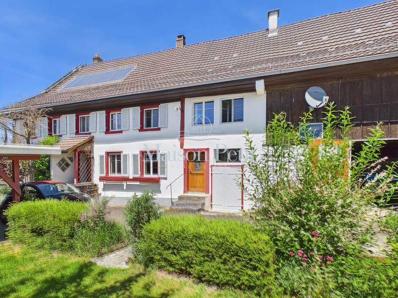 Historisches Bauernhaus, eine wahre Rarität im Herzen von Thurgau! (4)