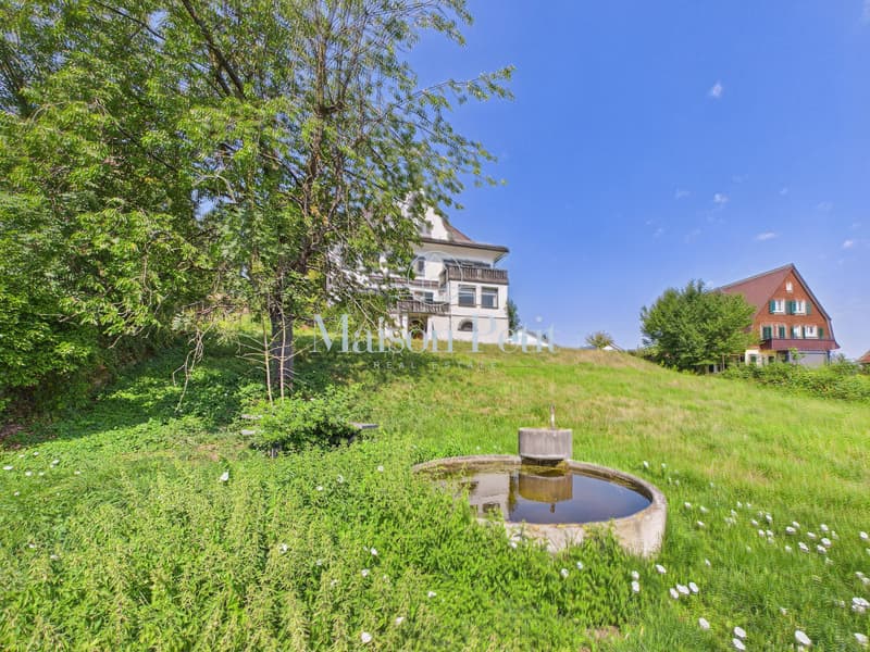 Historische 12.5-Zimmer-Villa mit grandiosem Entwicklungspotential (6)