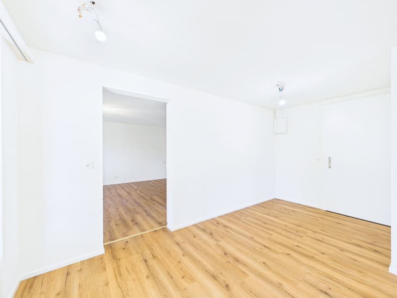 Frisch renovierte Gartenwohnung mit viel Privatsphäre. Die hät alles was es bruucht um sich dähei z'fühle! (13)