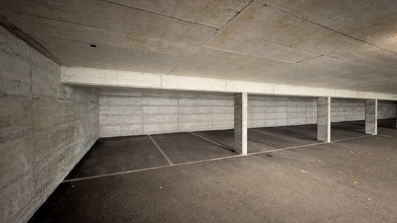 Villars-sur-Glâne : attique d’exception de 5.5 pièces, 3 places de parc (14)