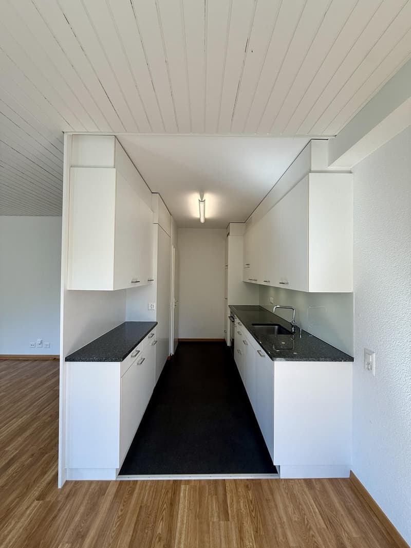 3.5 Zimmer-Wohnung an ruhiger und zentraler Lage (6)